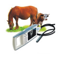 Ce Approved Veterinary Ultrasonic Machine